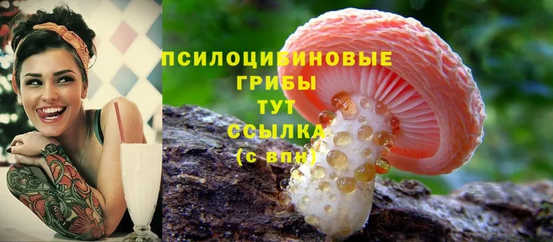 Галлюциногенные грибы Magic Shrooms Емва