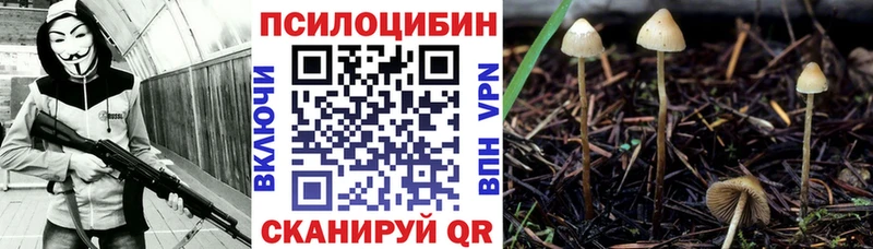 купить закладку  маркетплейс телеграм  Галлюциногенные грибы Psilocybe  Емва 