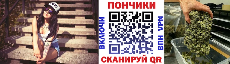 Каннабис индика  купить   Емва 